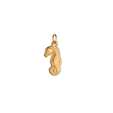 Cargar imagen en el visor de la galería, SELECIONA TUS CHARMS